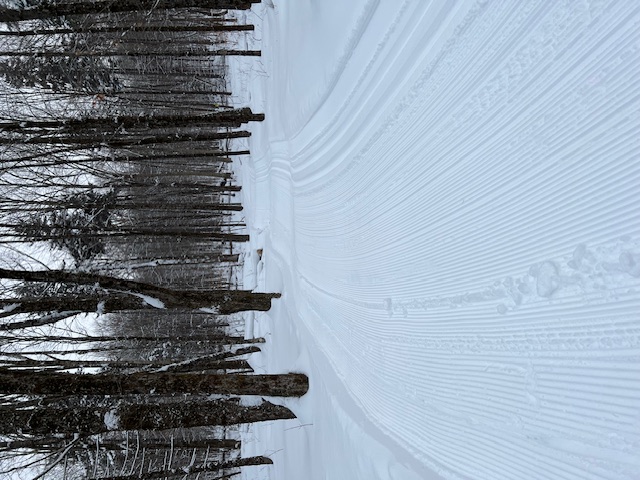 Perfect grooming on 11