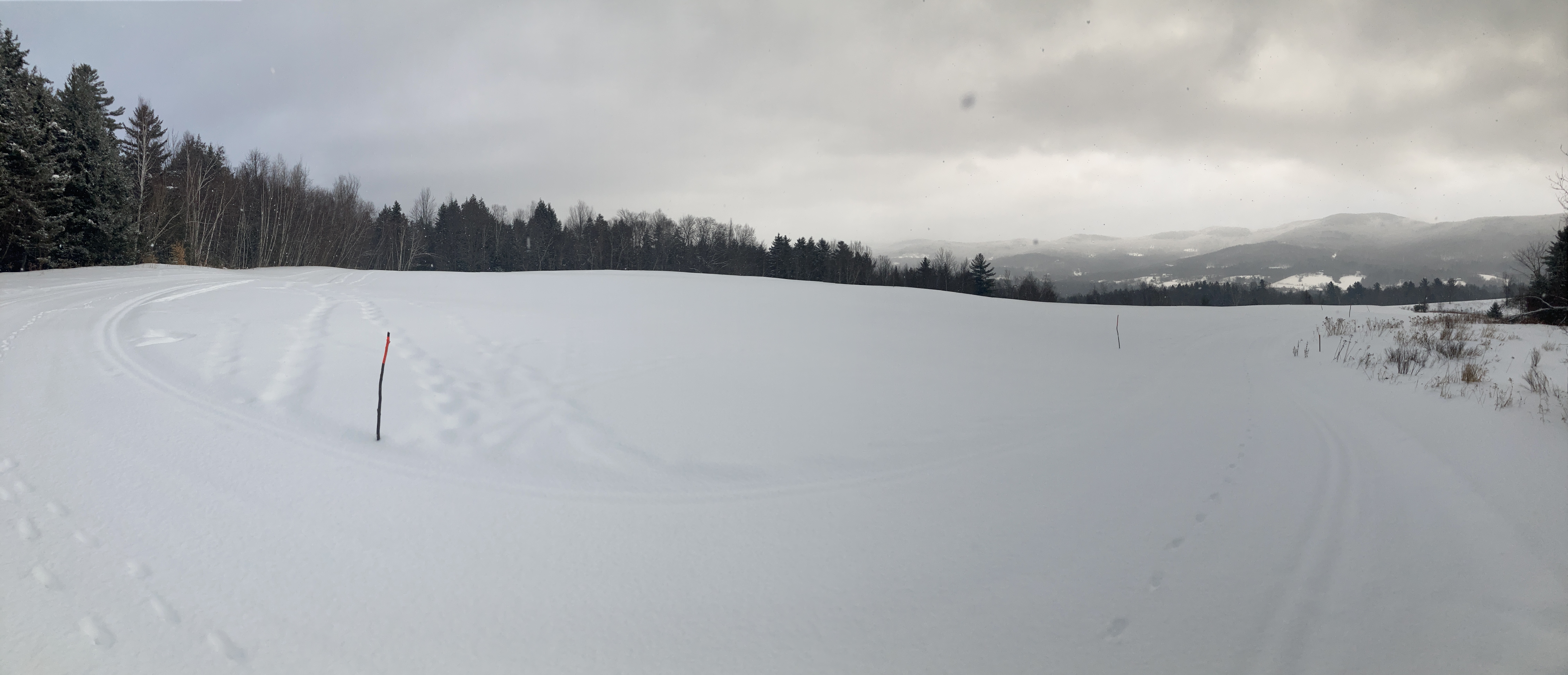 View on 10 before the groomers