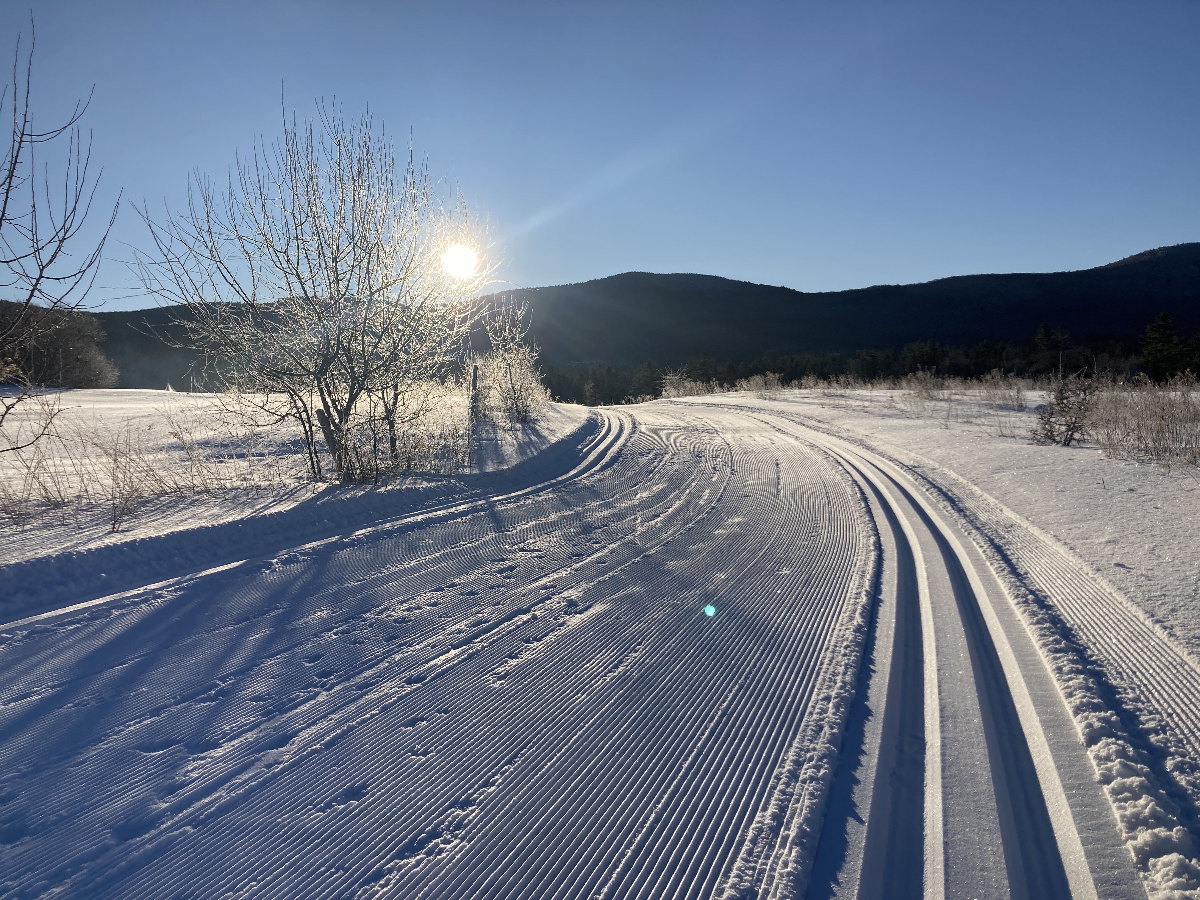 Glorious sunshine on trail 9