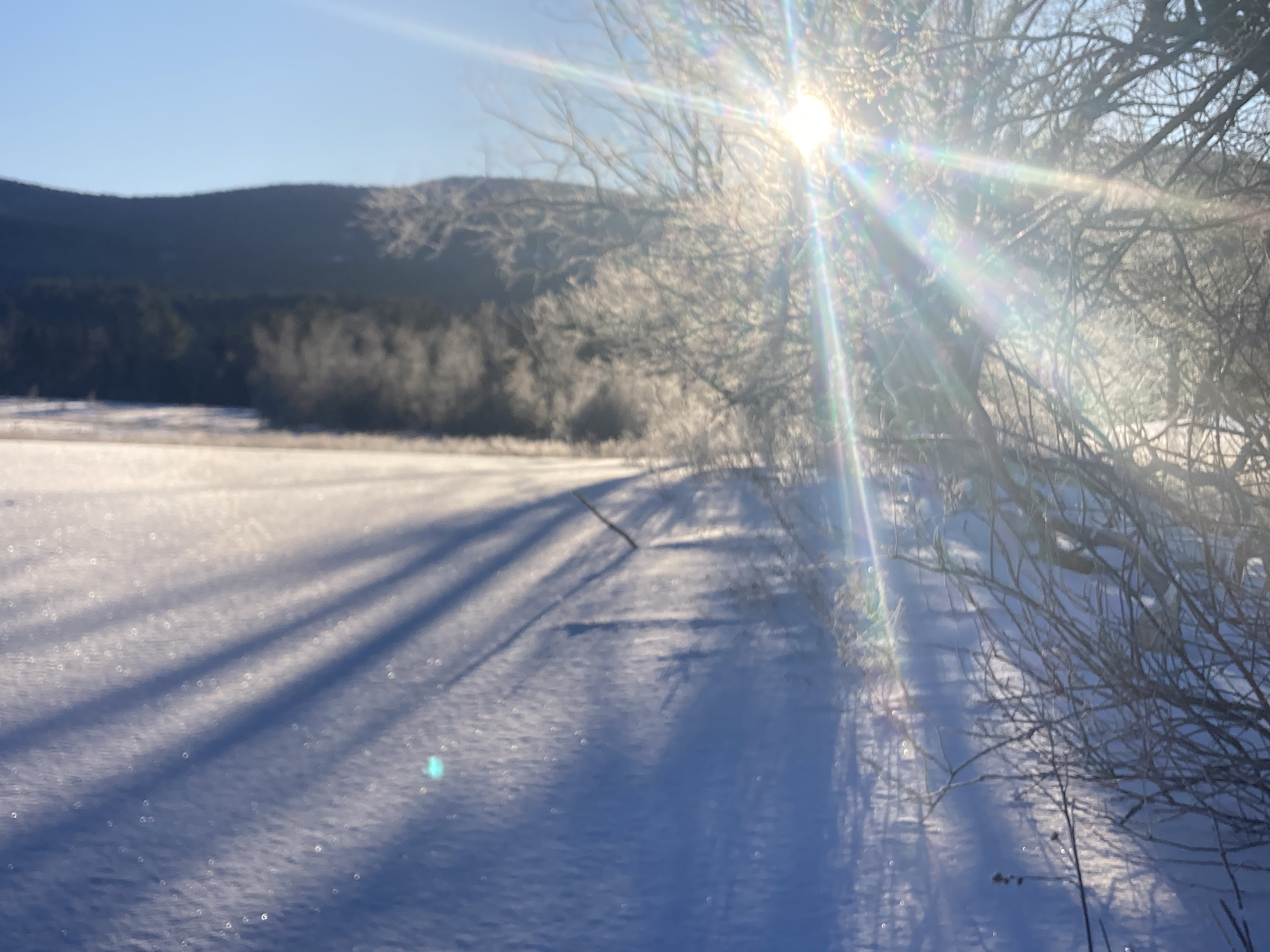 Sunshine warming trails
