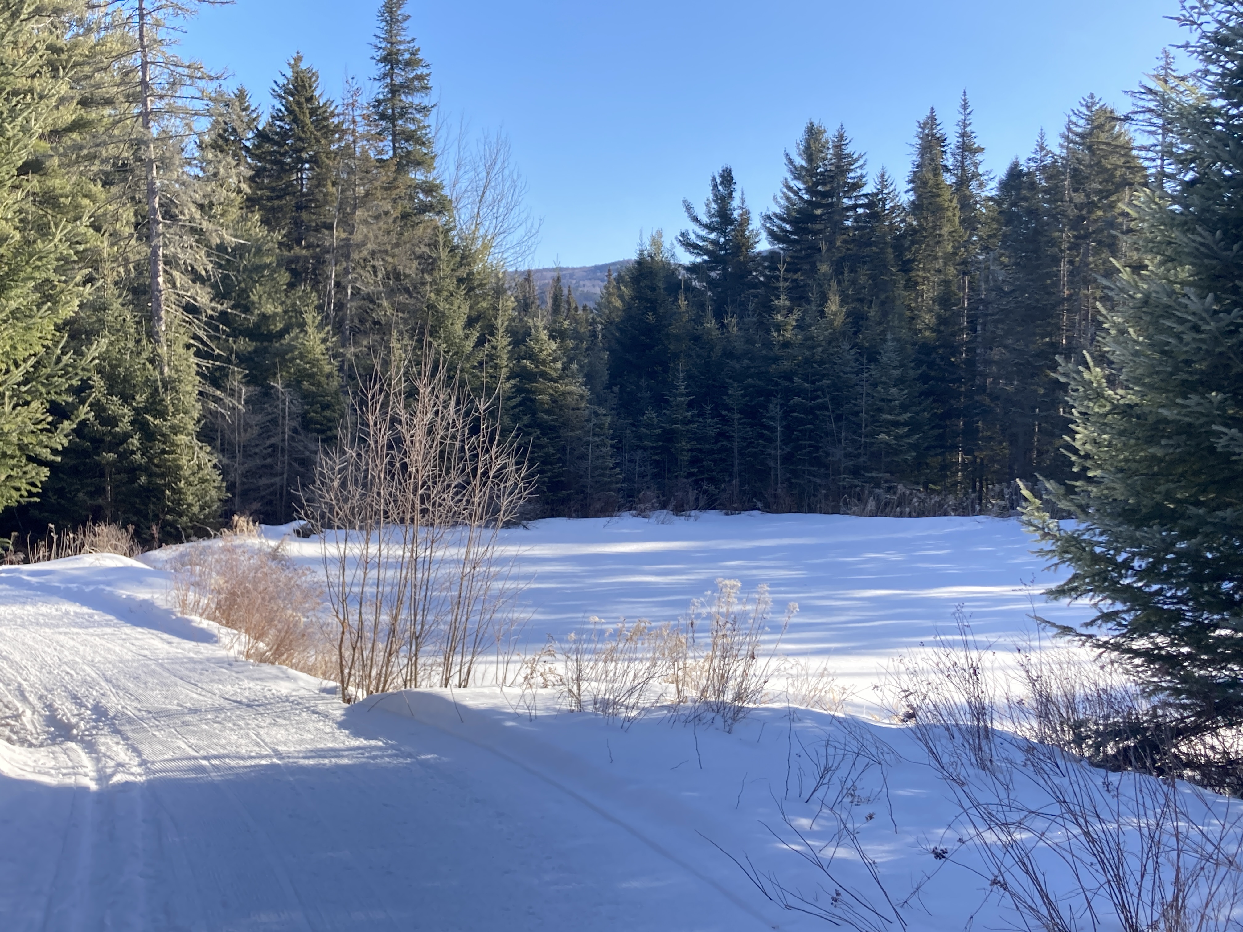 Sparkling snow, trail 1