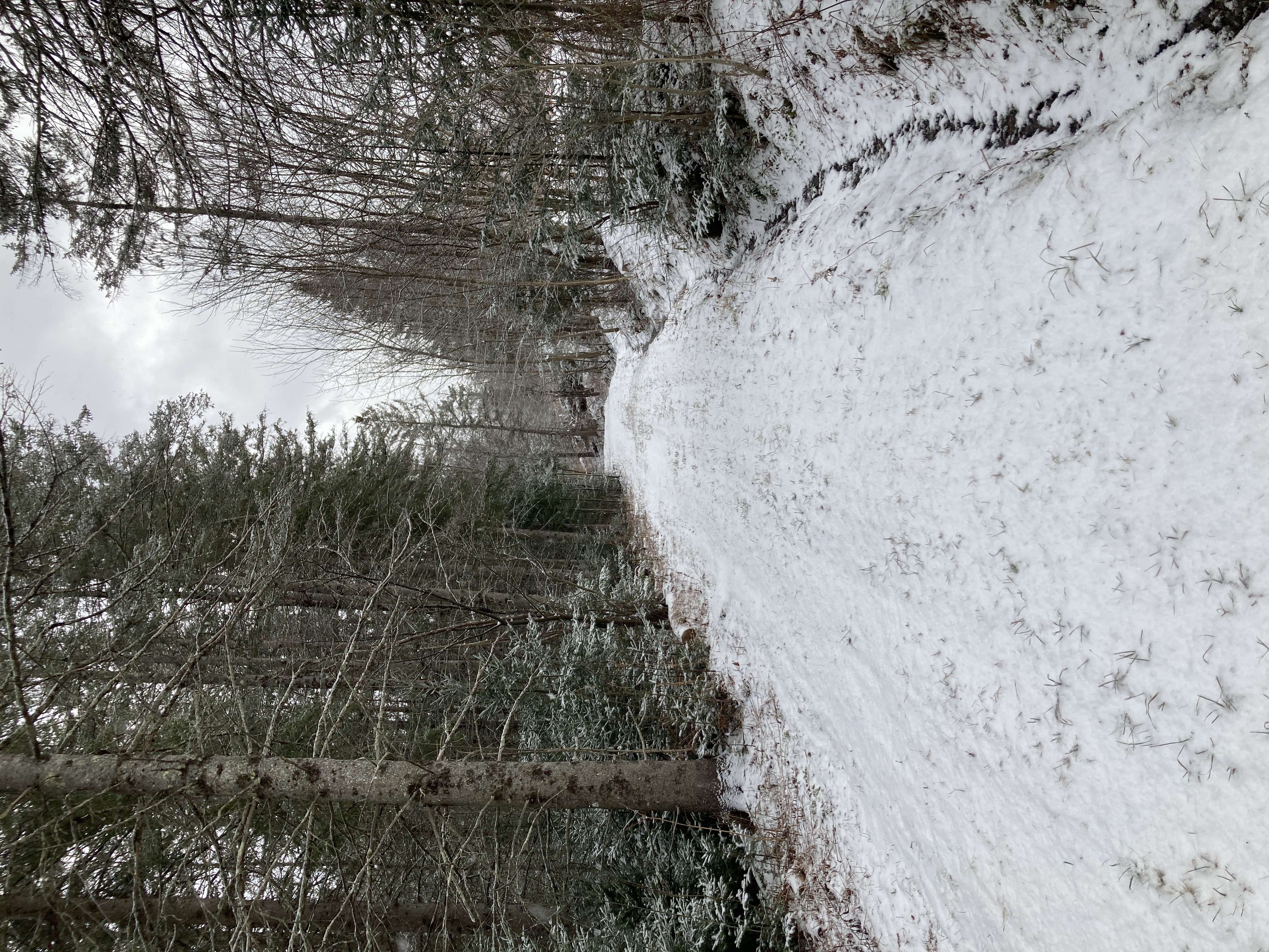 A dusting of fresh snow, watch out for the ice beneath