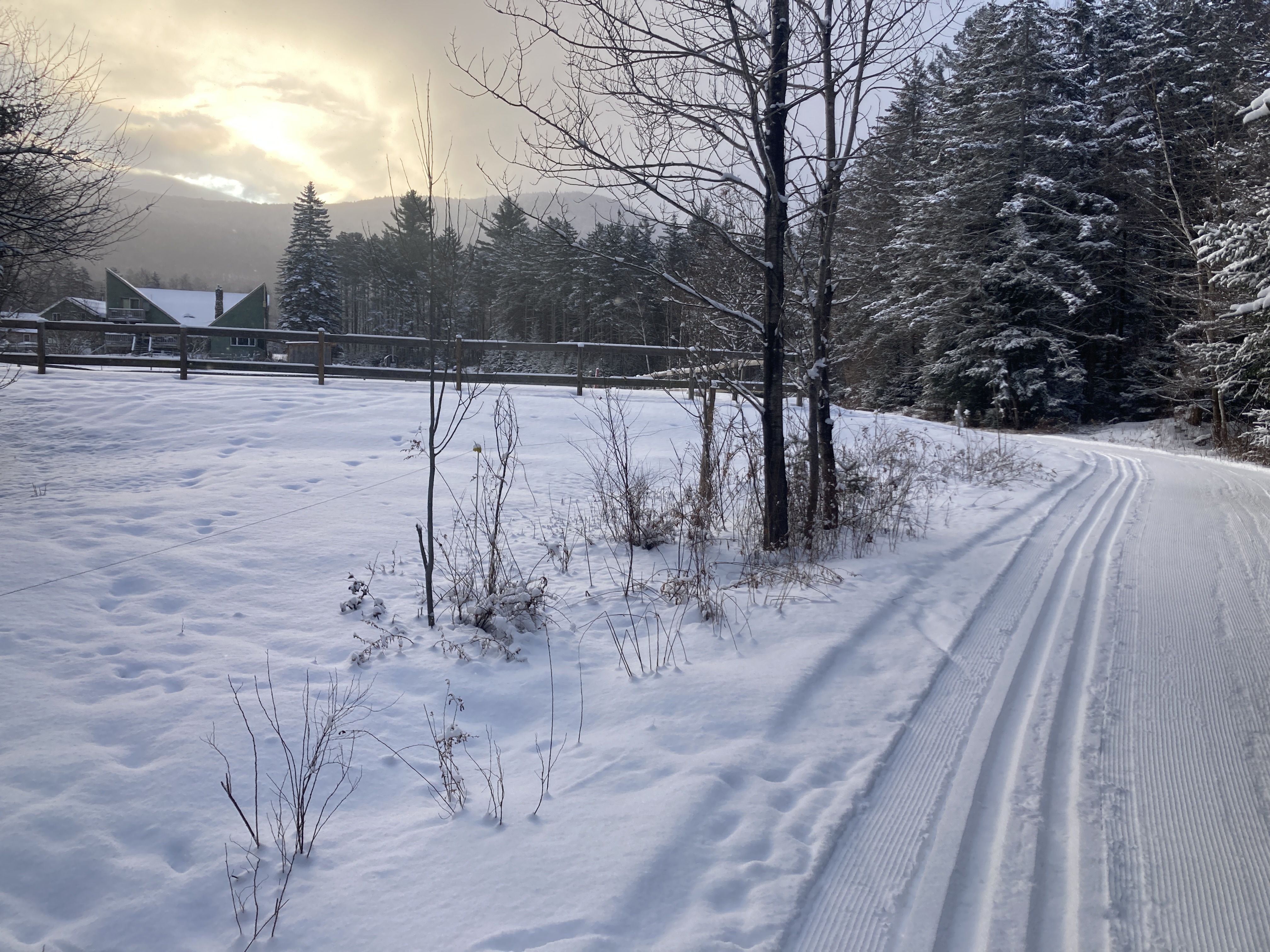 near the horses on trail 2