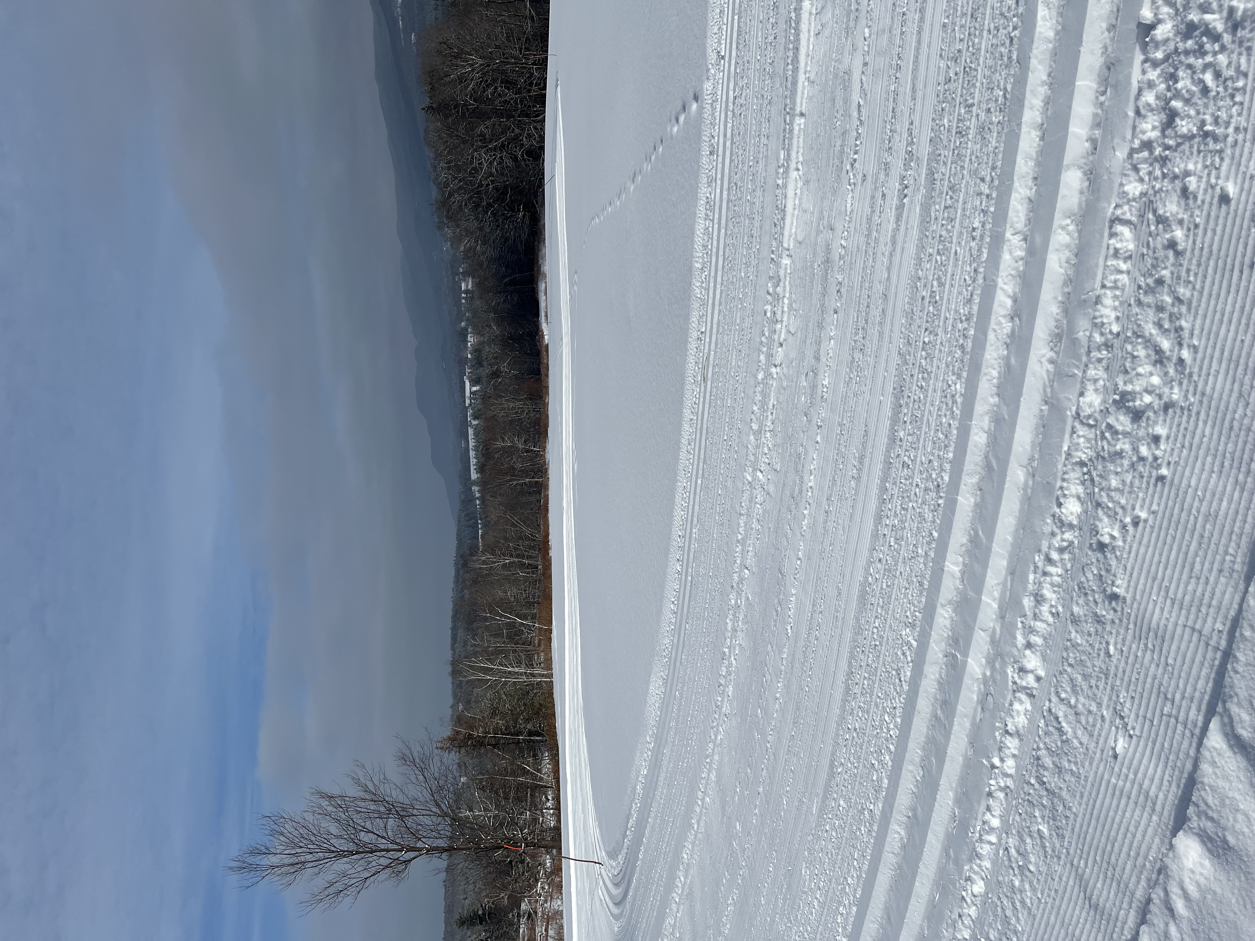 11 before the groomers