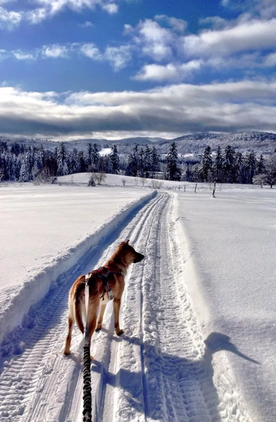 Trail at Blueberry Lake