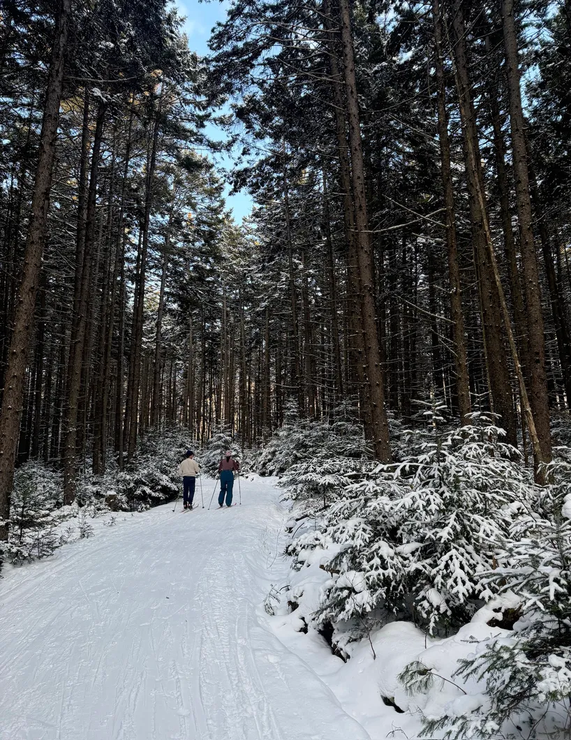 Cross country skier in the distance.